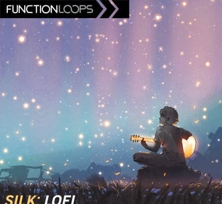 Function Loops Silk Lofi Hip Hop WAV